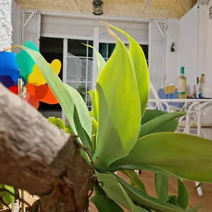 San Antonio - Beach, Pool And Terrace Apartamento Torremolinos